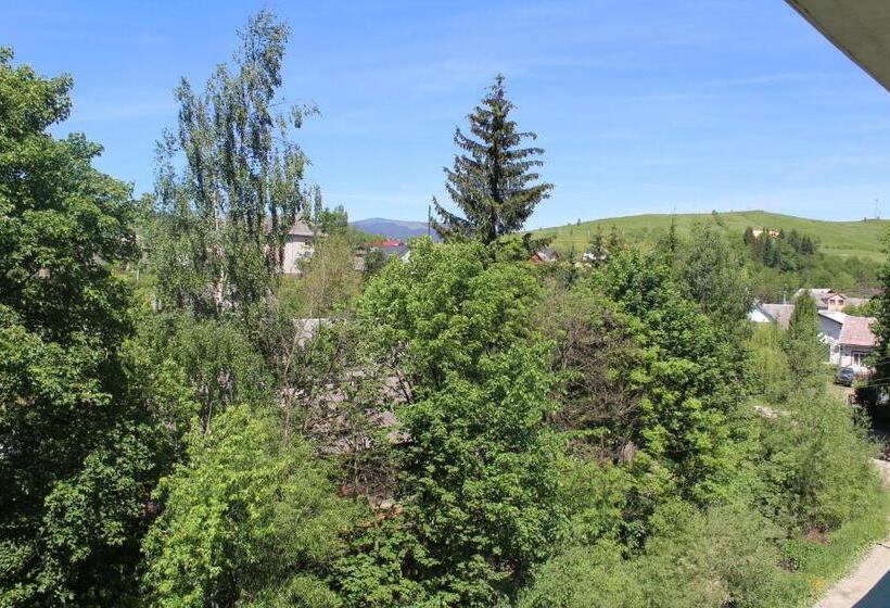 اتاق استاندارد با چشمانداز کوهستان, Yasinya