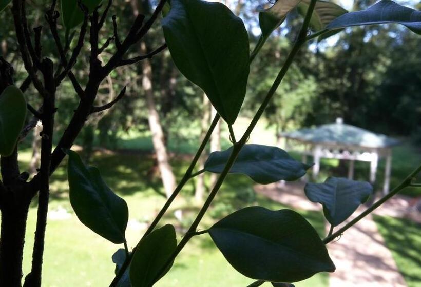 Номер Deluxe, Zur Waldhufe