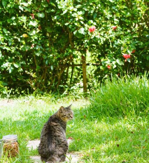 Habitación Familiar Vista Jardín, 姉と弟の家