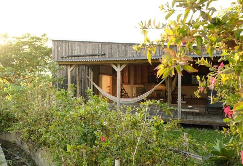 Habitación Familiar Vista Jardín, 姉と弟の家