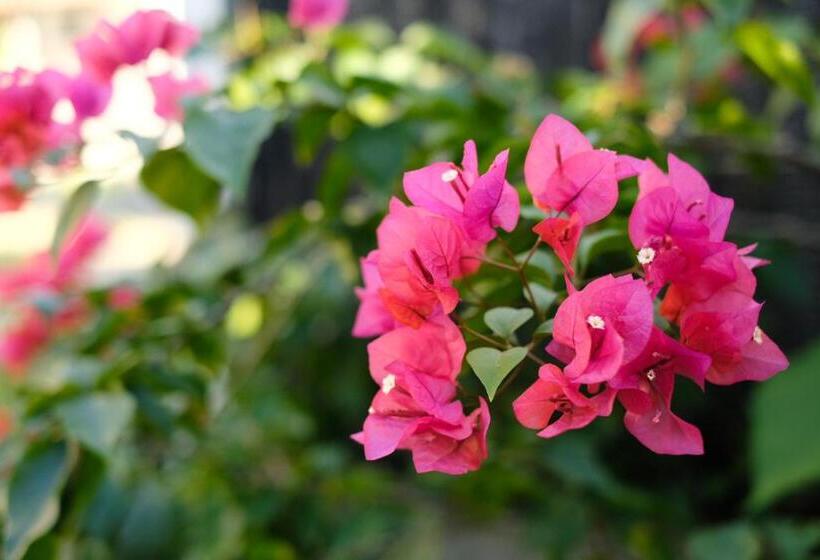 Habitación Familiar, 姉と弟の家