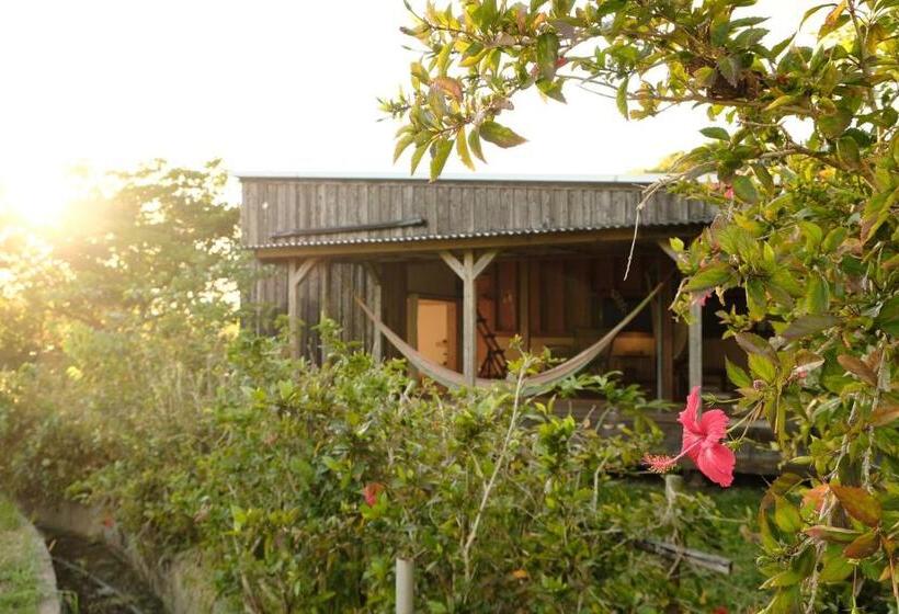 Habitación Familiar Vista Jardín, 姉と弟の家