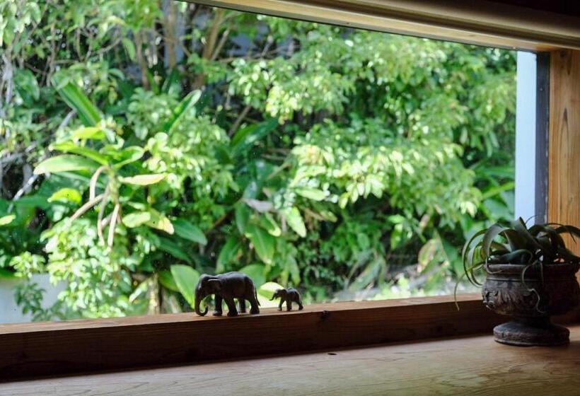 Habitación Familiar, 姉と弟の家