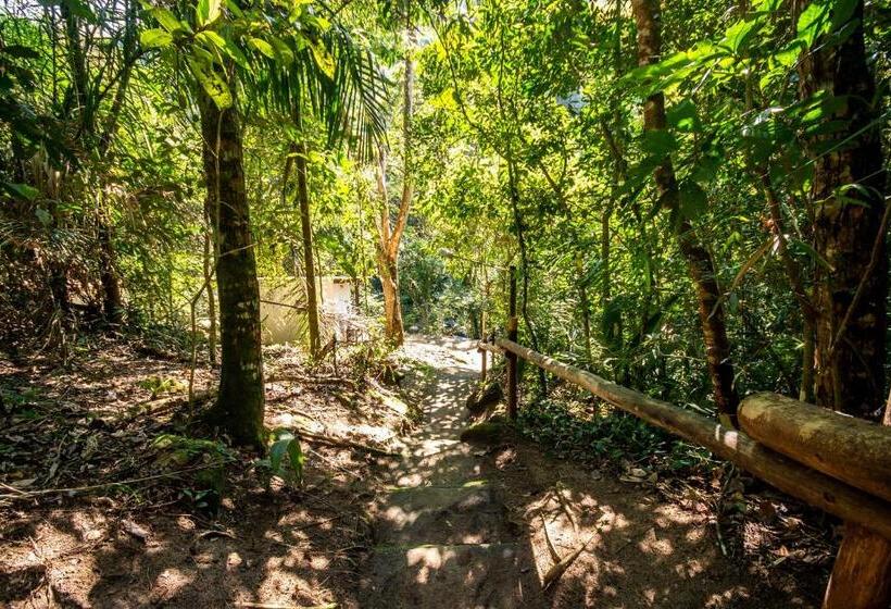 חדר אקונומי, Ecolodge Paraty