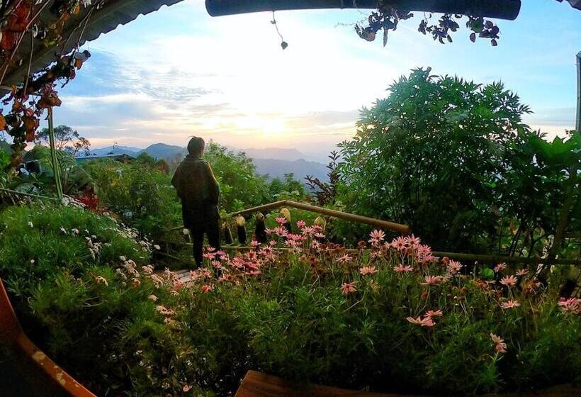 اتاق استاندارد, Kodai Heaven