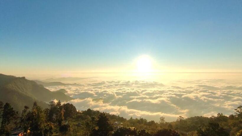 سوئیت جونیور با تراس, Kodai Heaven