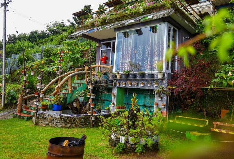 سوییت لوکس, Kodai Heaven