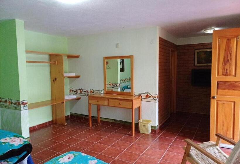 غرفة قياسية, Plaza Don Gabino Hotel Y Restaurante