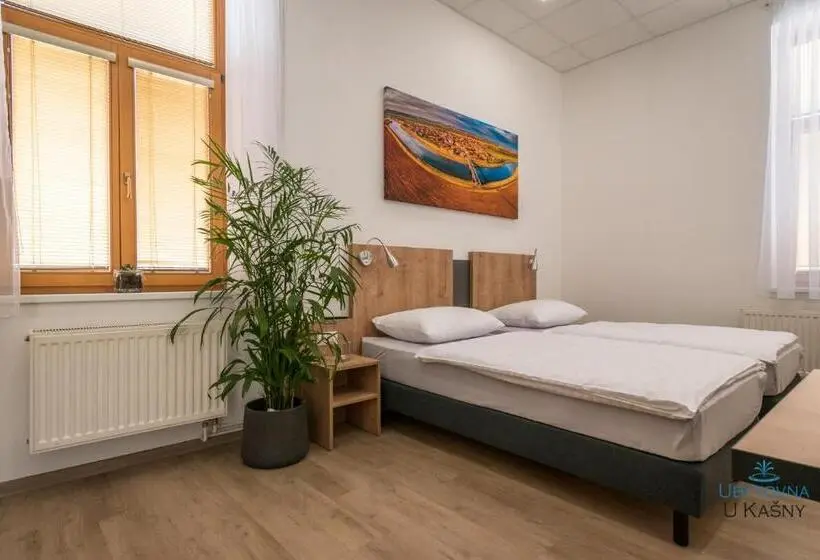 Standard-huone, Ubytovna U Kašny