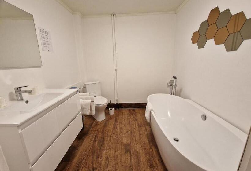 １ベッドルームアパートメント, Aparthotel Domaine Du Chateau De La Neuville