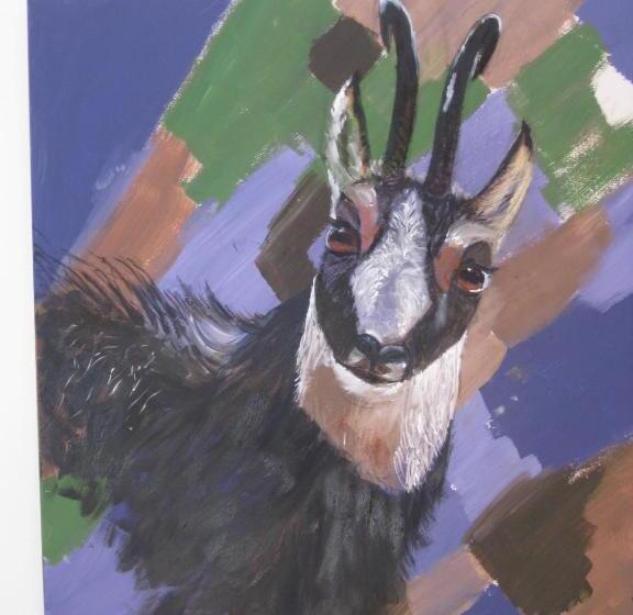 标准间, Pension Muggengrat