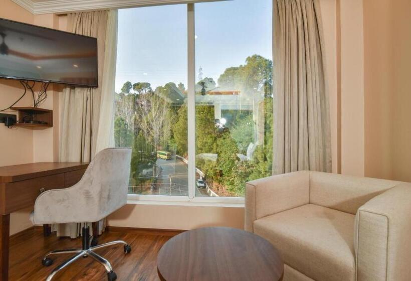 豪华单人间, Claret Inn By Dls Hotels