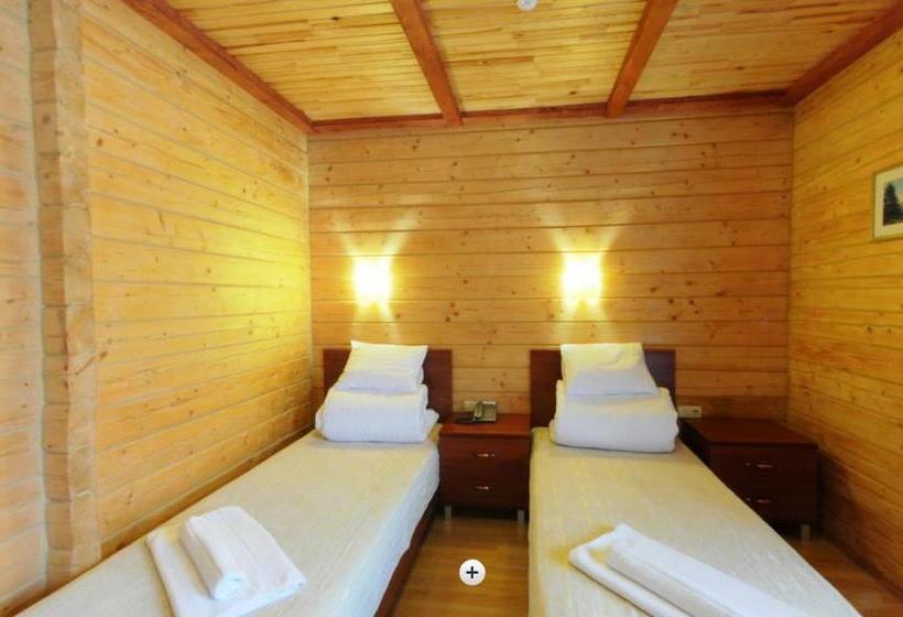 اتاق استاندارد با چشمانداز کوهستان, Forward Pool&sauna