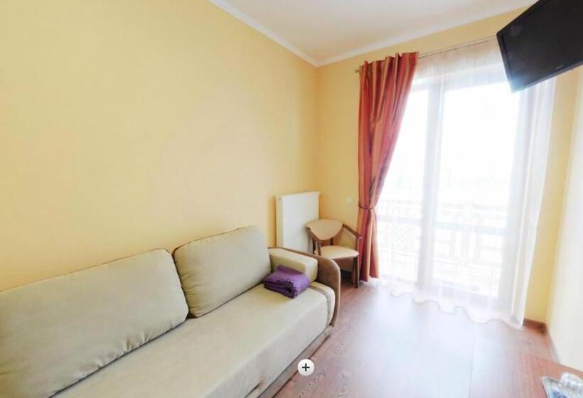 اتاق خانوادگی با چشمانداز کوه, Forward Pool&sauna