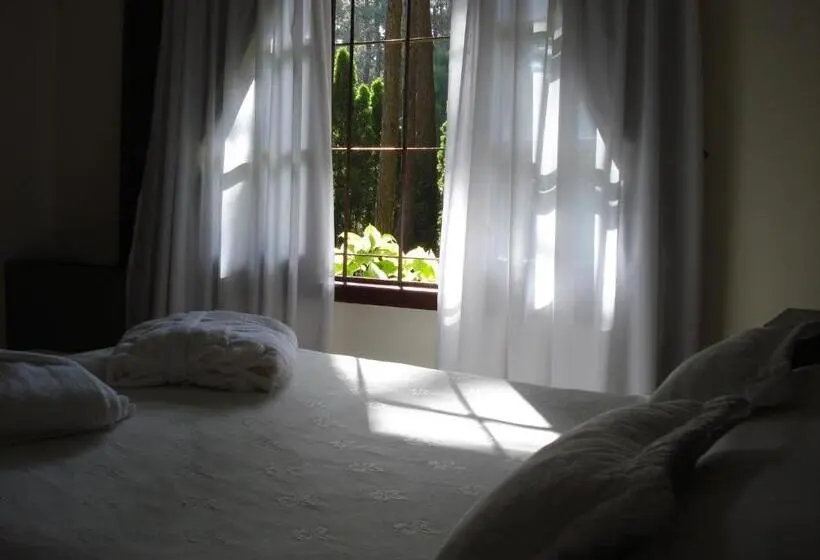 スタンダードルーム, La Mansion Del Bosque