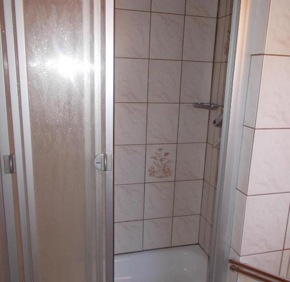 اتاق استاندارد یک نفره, Steinerbauer