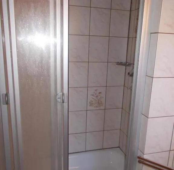 Standard Yhden Hengen Huone, Steinerbauer