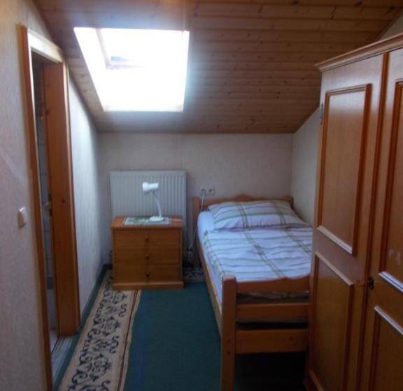 اتاق استاندارد یک نفره, Steinerbauer