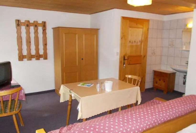 Standard Kolmen Hengen Huone, Steinerbauer