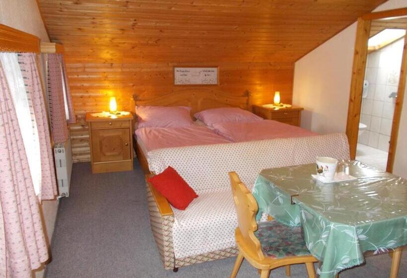 اتاق استاندارد چهار تخته, Steinerbauer