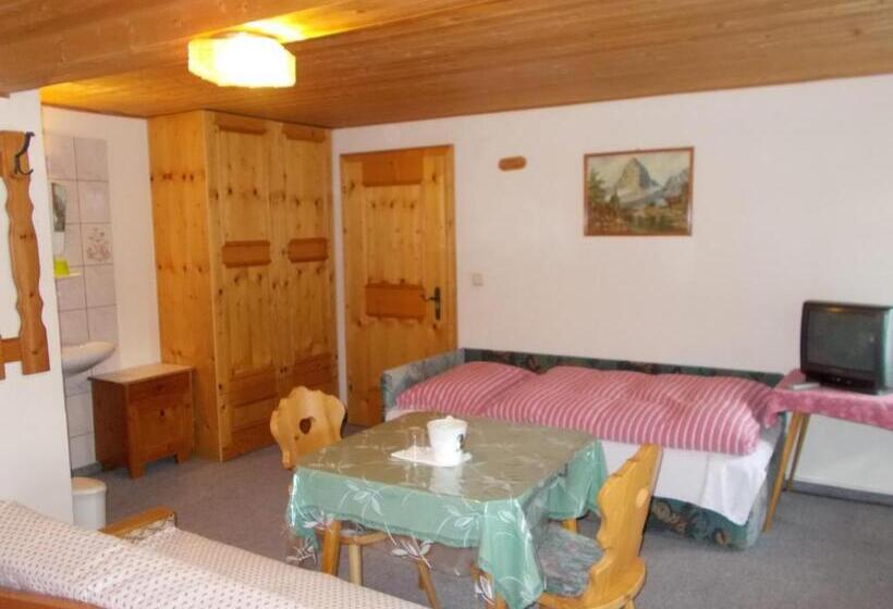 اتاق استاندارد چهار تخته, Steinerbauer