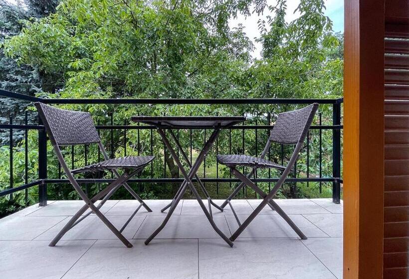 إستديو قياسى مزود بشرفة, Dreiszker Apartmanház