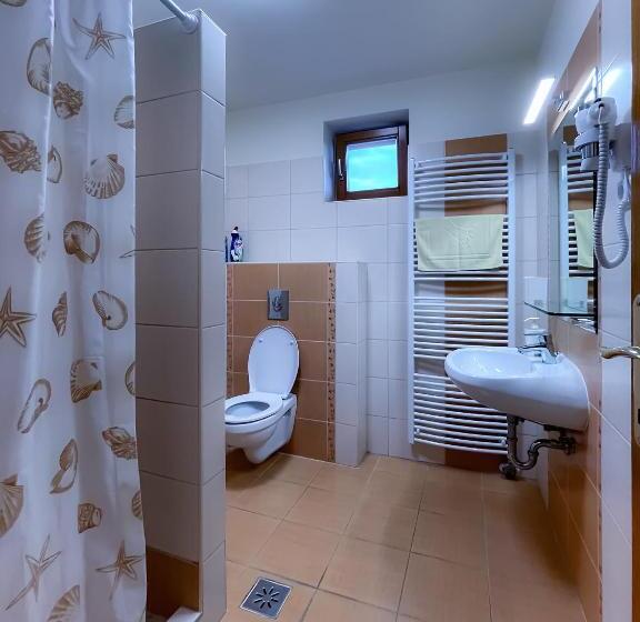 شقة غرفة نوم واحدة مزودة بشُرفة, Dreiszker Apartmanház