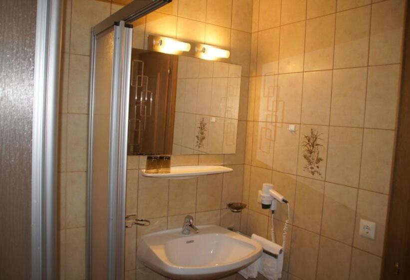 غرفة قياسية ثلاثية, Garni Rudigier