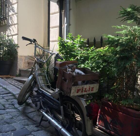 سوئیت با بالکن, Kumbaracı Apartments & Suites