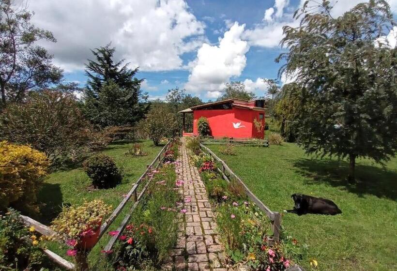 Семейное Бунгало, Monte Verde Cabañas Y Camping
