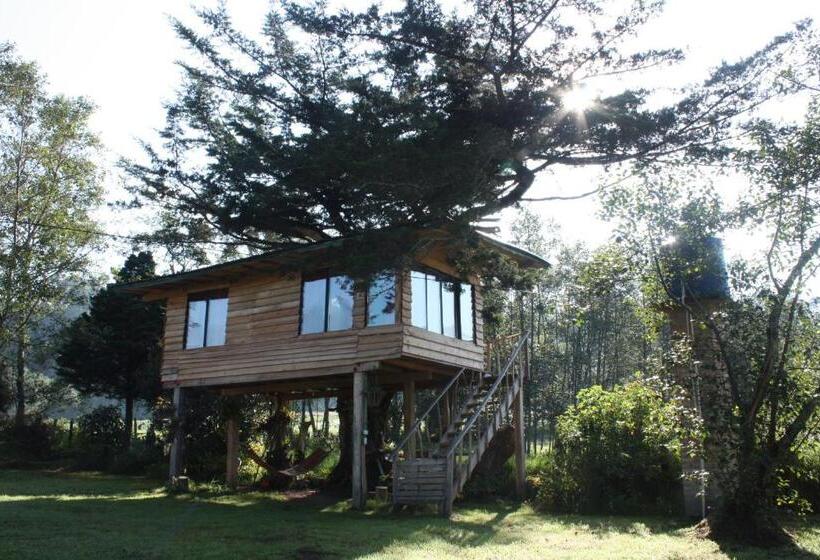 בקתה סטנדרטית, Monte Verde Cabañas Y Camping