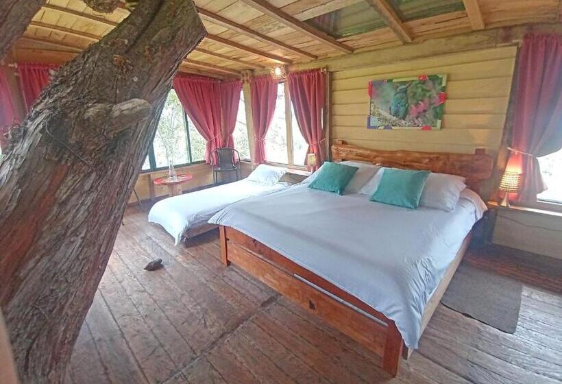 בקתה סטנדרטית, Monte Verde Cabañas Y Camping