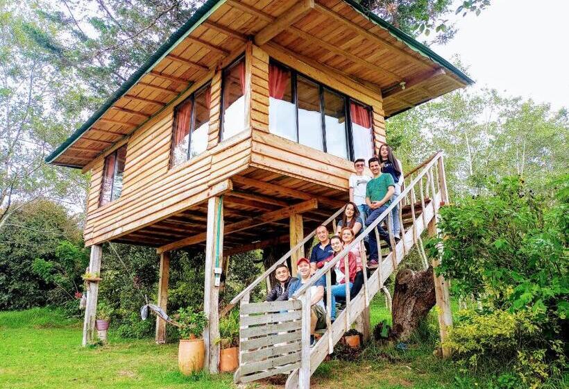 Бунгало Стандарт, Monte Verde Cabañas Y Camping