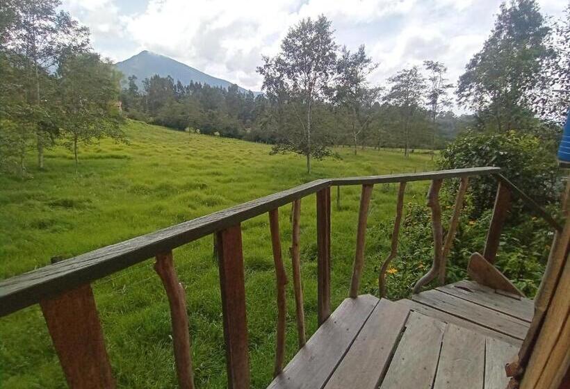 בקתה סטנדרטית, Monte Verde Cabañas Y Camping