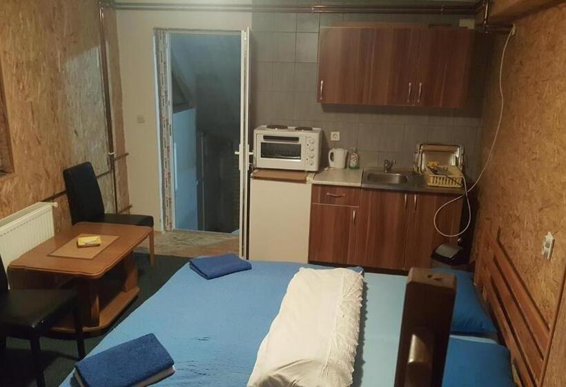 استودیوی استاندارد, Morehead Guesthouse Vlasic