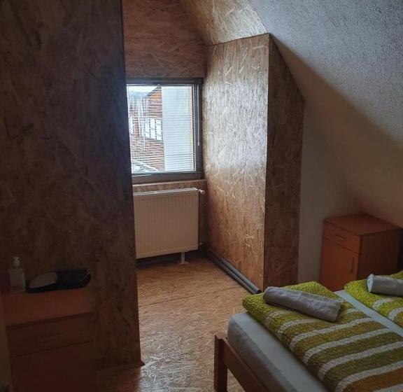 آپارتمان 2 خوابه, Morehead Guesthouse Vlasic