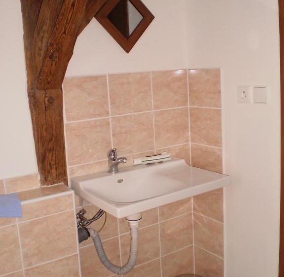 ガーデンビューのスタンダードワンルーム, Pension Prislin