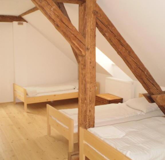 ガーデンビューのスタンダードワンルーム, Pension Prislin