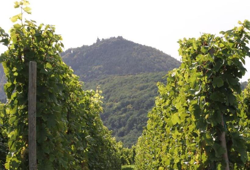 إستوديو قياسى ذو إطلالة, Chambres D Hôtes Arnold