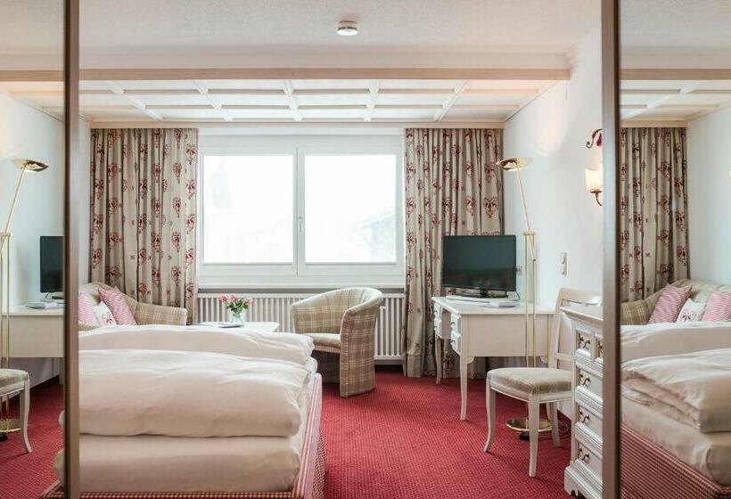 舒适型房间, Guggis