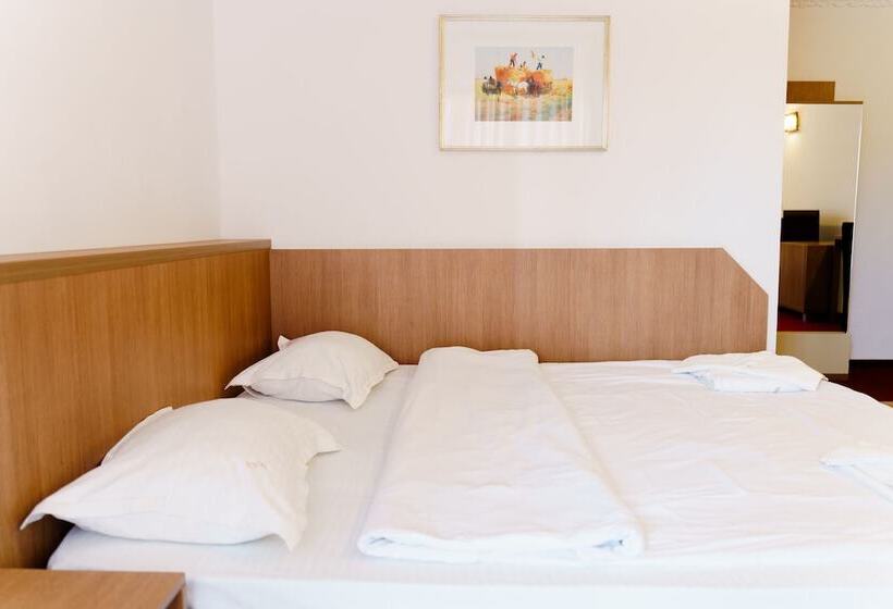 ファミリールーム, Complex Turistic Max International