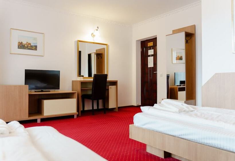 スタンダードルーム, Complex Turistic Max International