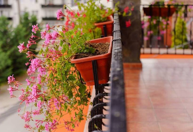 スーペリアールーム, Complex Turistic Max International