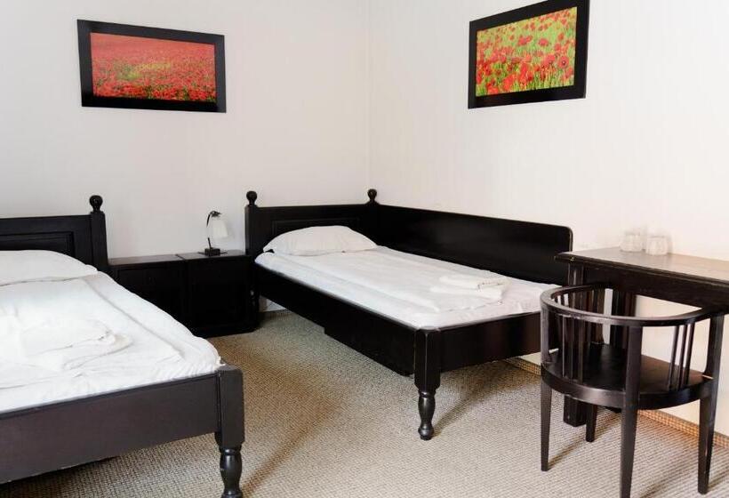 スタンダードルーム, Complex Turistic Max International