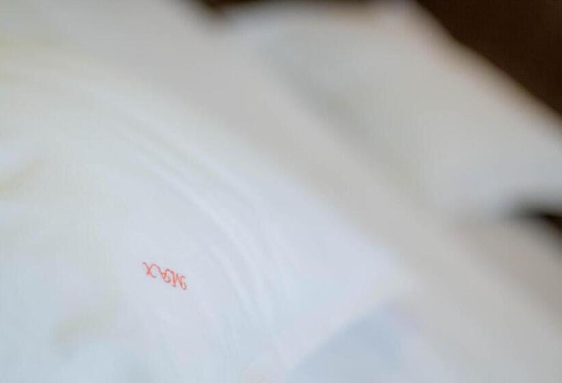 ファミリールーム, Complex Turistic Max International