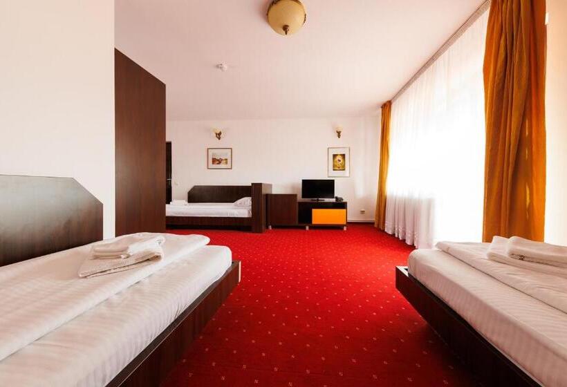 スタンダードルーム, Complex Turistic Max International