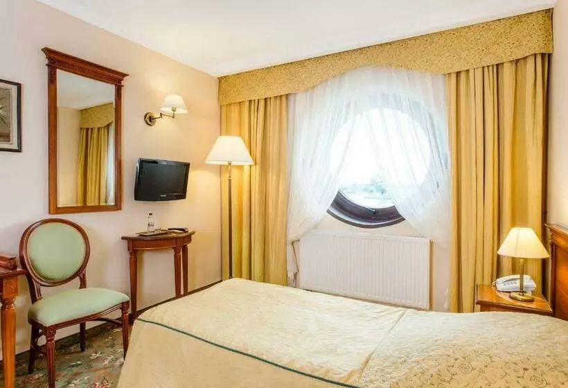 Superior Single Room