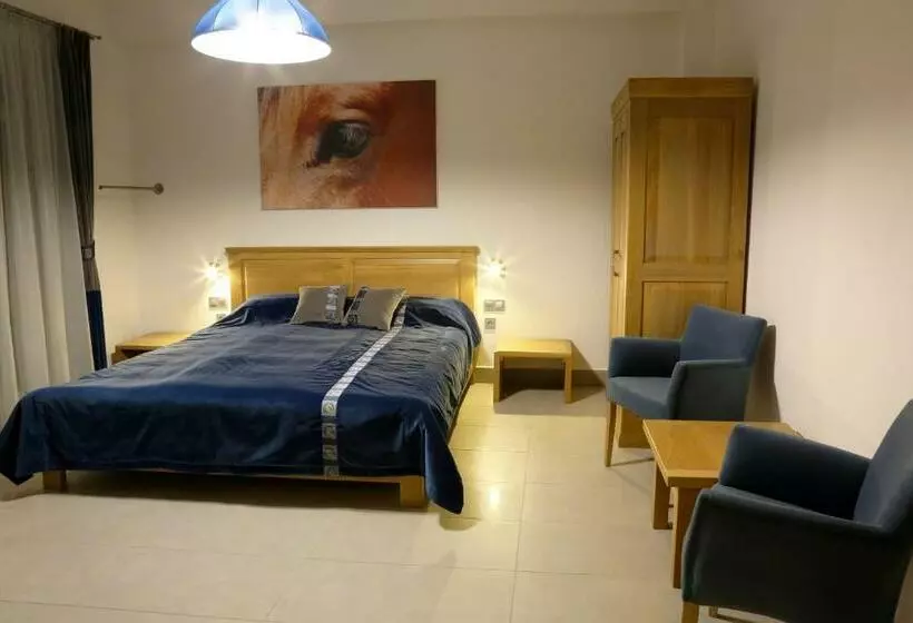 スタンダード４人部屋, Hédervári Lovas Vendégház