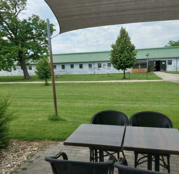 4인용 스탠다드 룸, Hédervári Lovas Vendégház