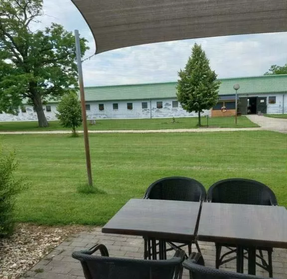 スタンダード４人部屋, Hédervári Lovas Vendégház